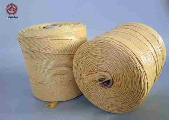 PP Twine for Mats Webbing Weft
