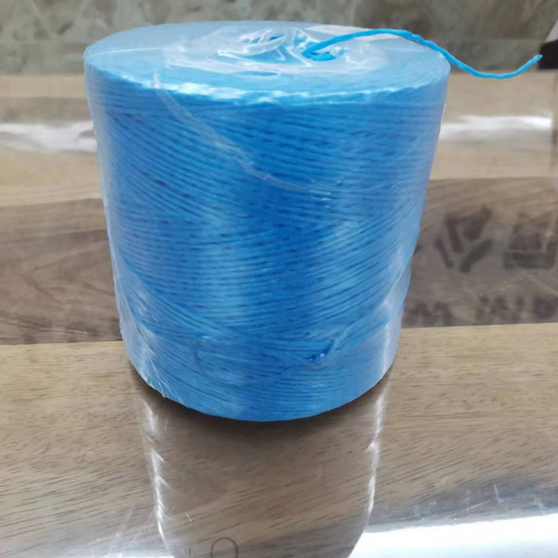 Heavy Duty Blue Rafia Tomato Tying Garden Poly Twine 6,300 ft 3LB for Tying up your tomatoes