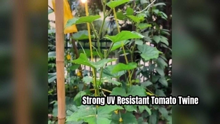 Hilo para atar tomates resistente a los rayos UV para un fuerte soporte para las plantas