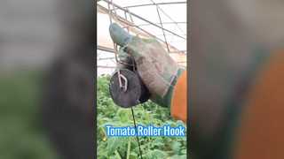 Gancho para rodillo de tomate