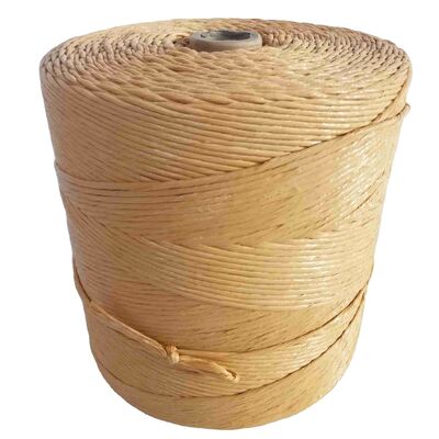 PP Twine for Mats Webbing Weft