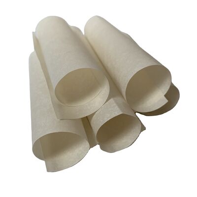 Resistencia al aislamiento 1,12 veces 10 a la potencia de 14 ohms papel aislante motor diseñado para resistir el calor hasta 300 grados Celsius